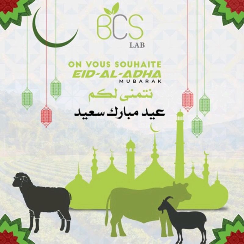 Eid AL ADHA