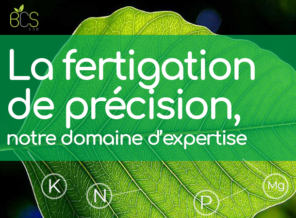 LA GESTION DE LA FERTIGATION DE LA MYRTILLE