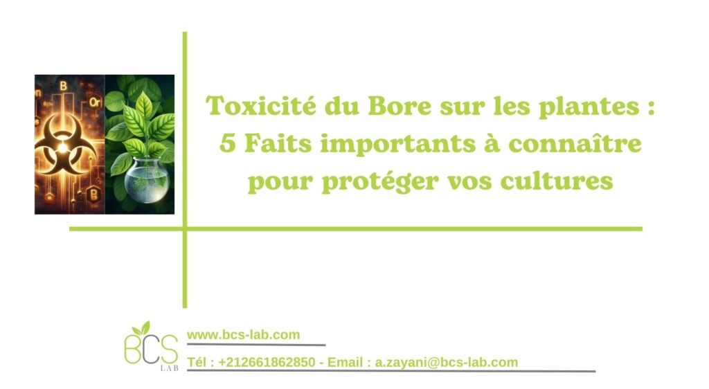 BCS LAB - les cartes de fertilite des sols agricoles