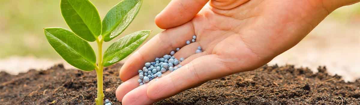 Analyse des engrais au laboratoire des analyses agronomiques BCS LAB 2025
